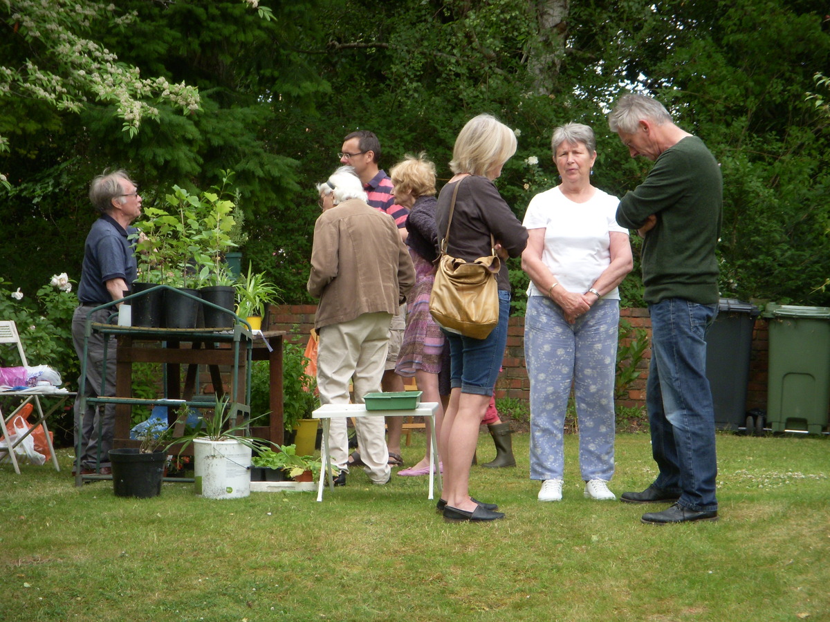 HTAG gardens 2015 026